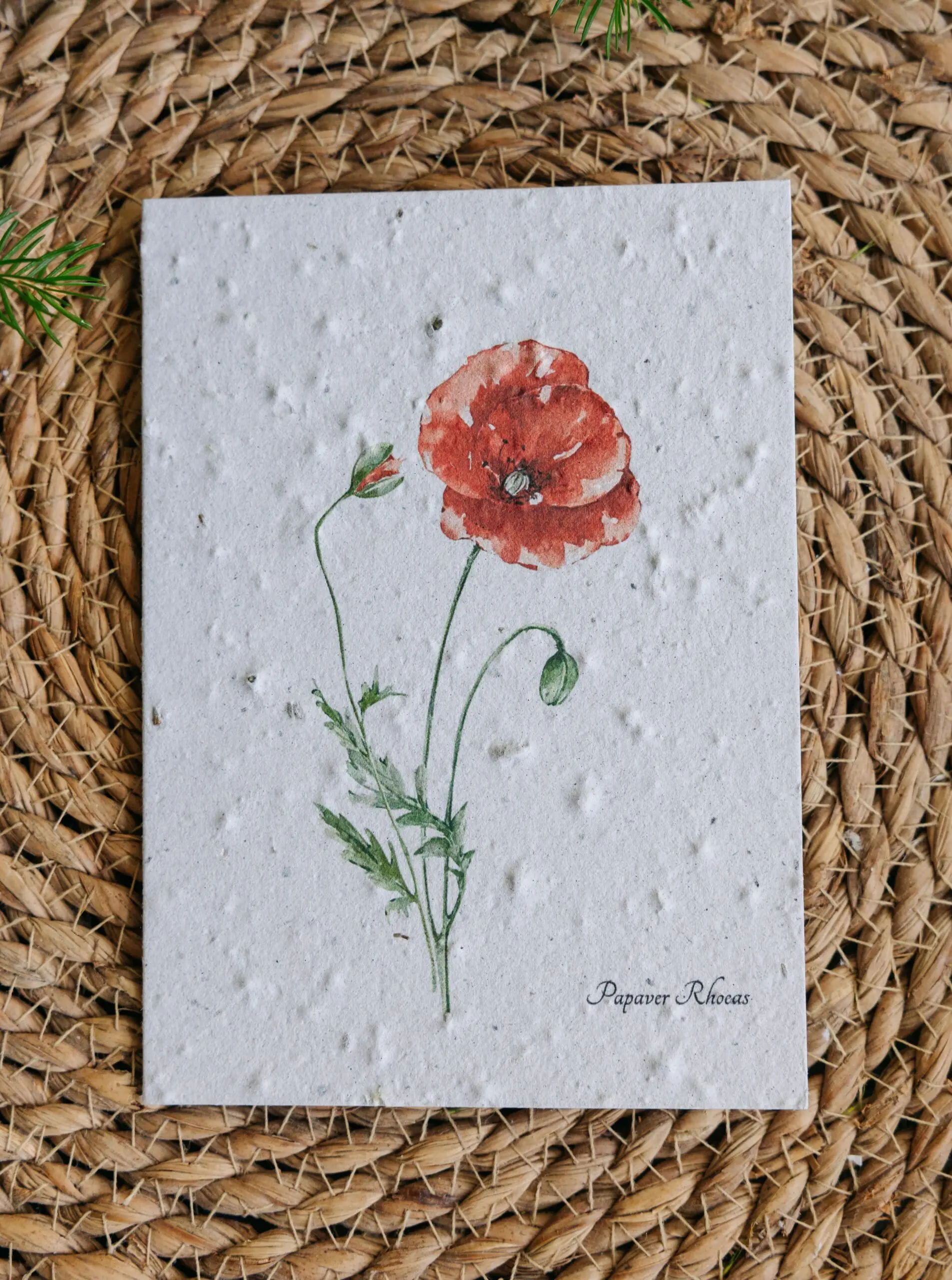 Kornvalmue kort fra Spirpapir