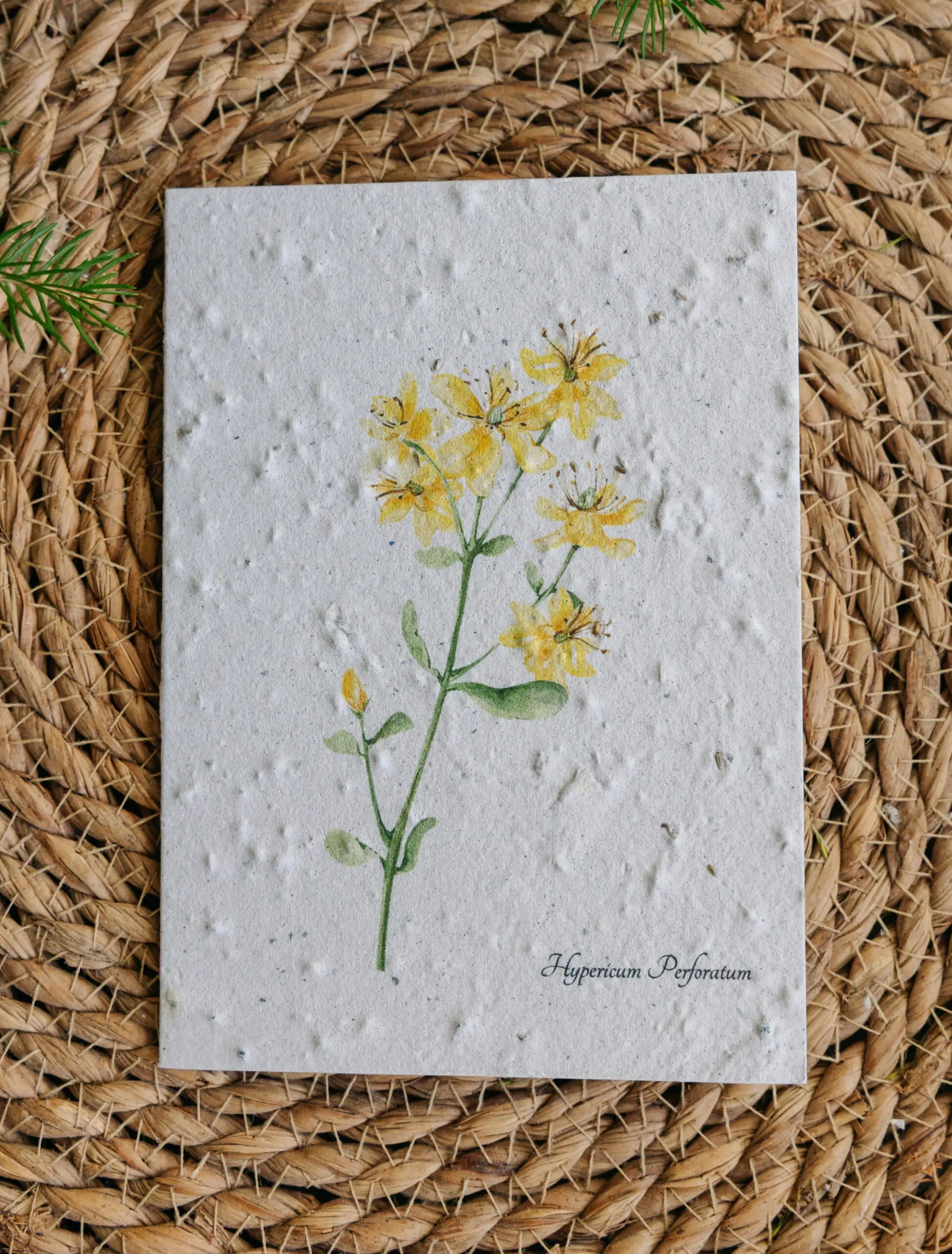 Perikon kort fra Spirpapir